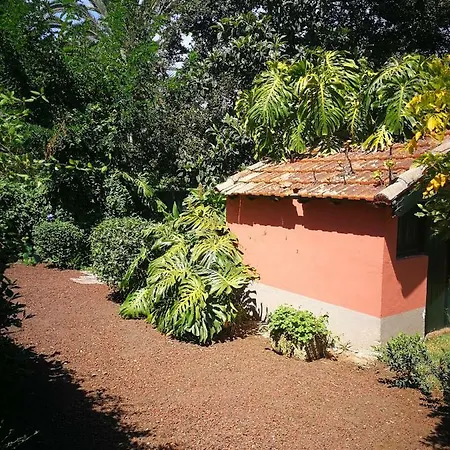 Jardines De Hortensia - Vacation Home Tenerife La Laguna  Extérieur photo