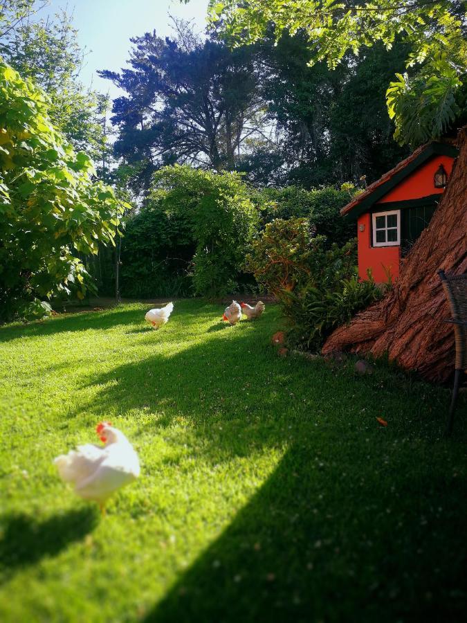 Casa de Férias Jardines De Hortensia - Vacation Tenerife